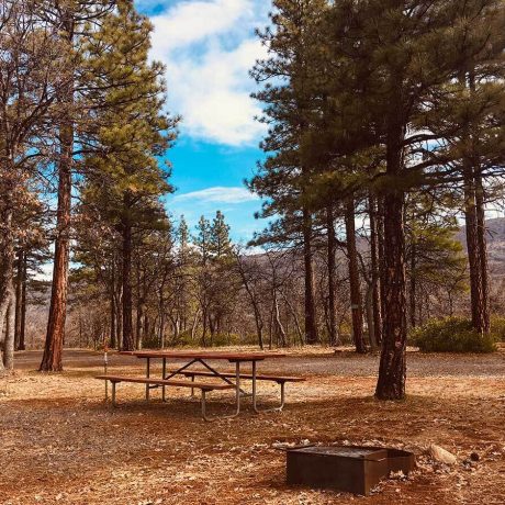 Campsite view at Lassen RV Park Campground