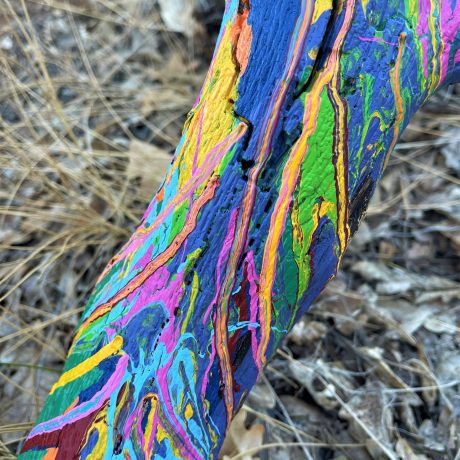 Colorbranch art at Lassen RV Park Campground