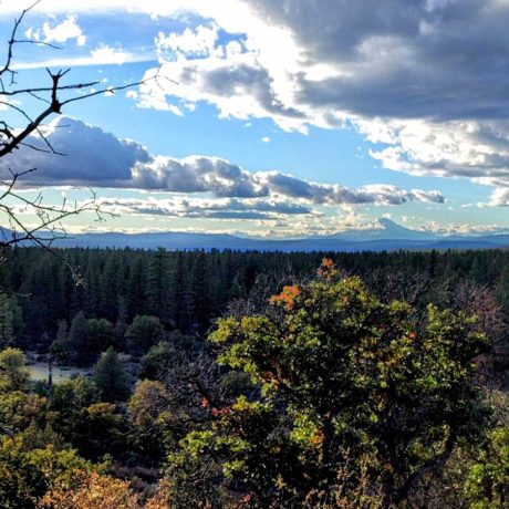 Landscape view at Lassen RV Park Campground