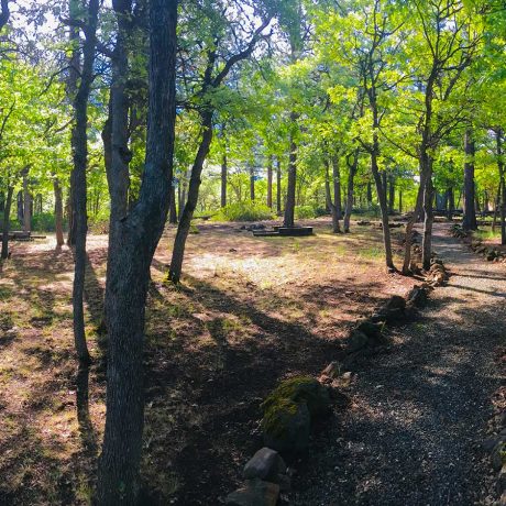 Lassen campsite path